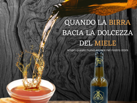 Birra al miele mille fiore Bee star Carisa Shop