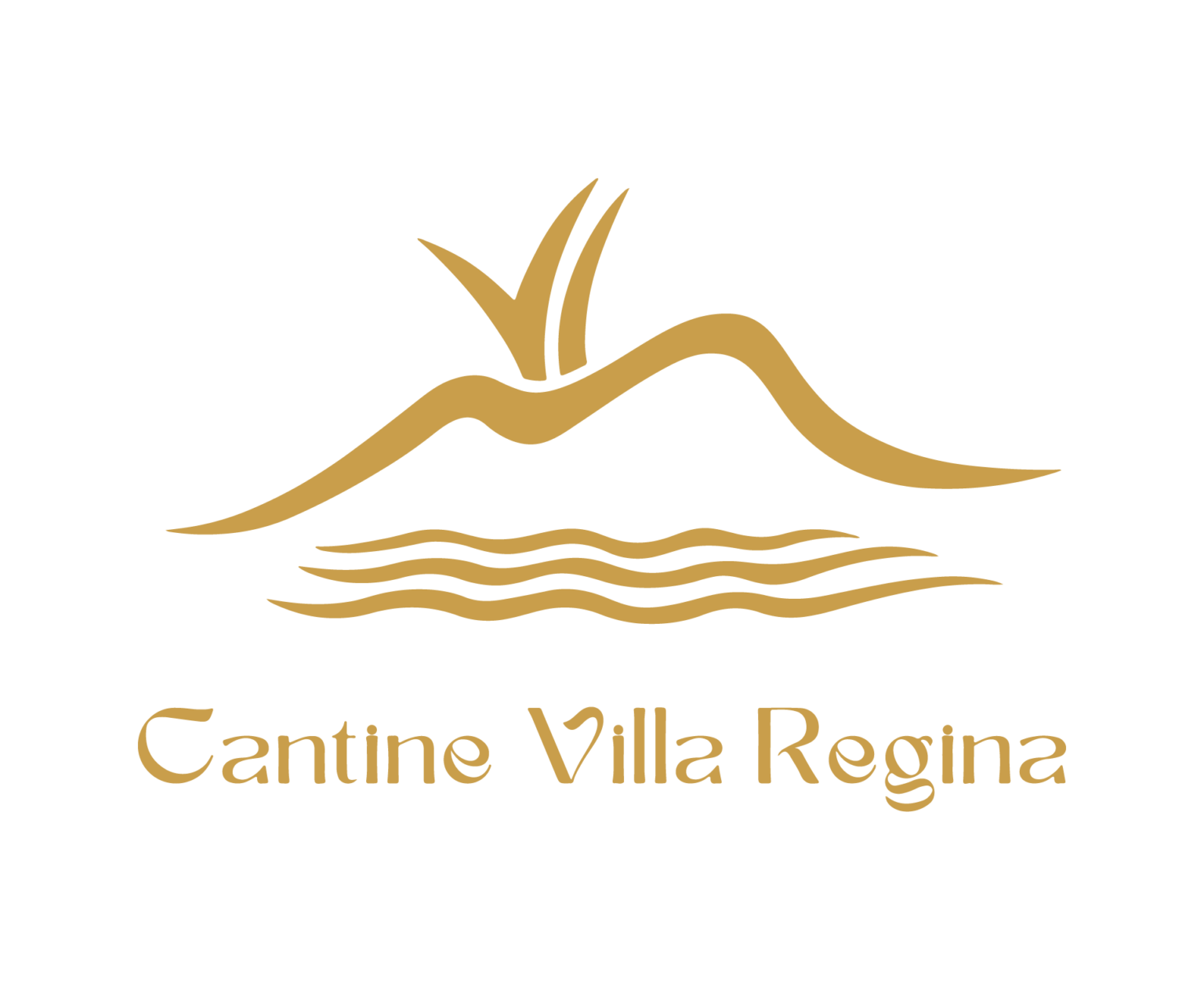 cantine villa regina_carisashop
